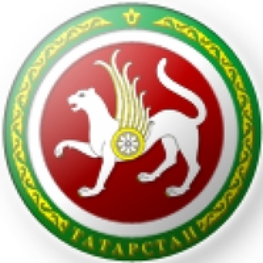 Министерство по делам молодежи и спорту Республики Татарстан