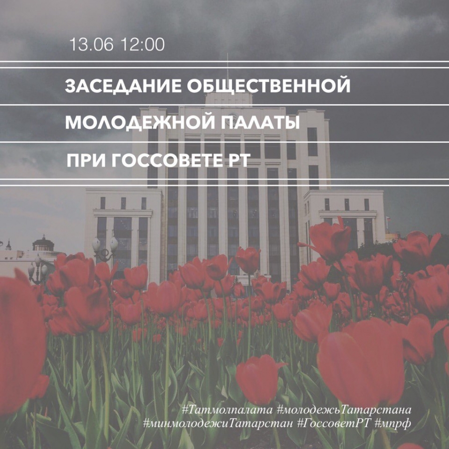 Девятое заседание Общественной молодежной палаты состоится в Казани